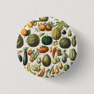 Fruchtpflanzliche wissenschaftliche Illustration Button