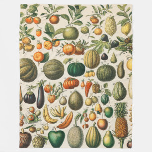 Fruchtpflanzliche wissenschaftliche Illustration Fleecedecke