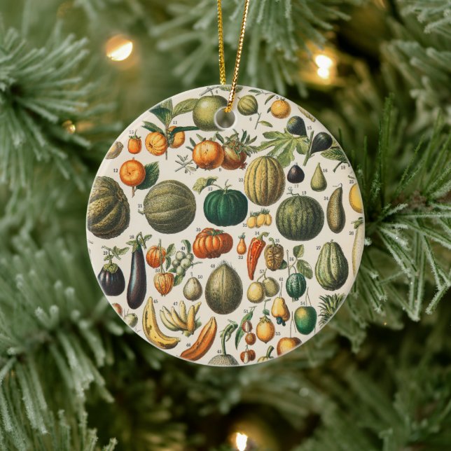 Fruchtpflanzliche wissenschaftliche Illustration Keramik Ornament (Baum)