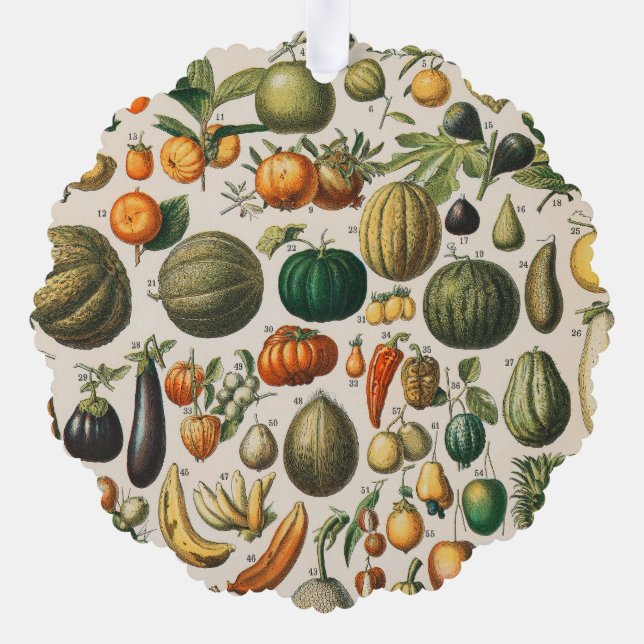 Fruchtpflanzliche wissenschaftliche Illustration Ornament Karte (Rückseite)