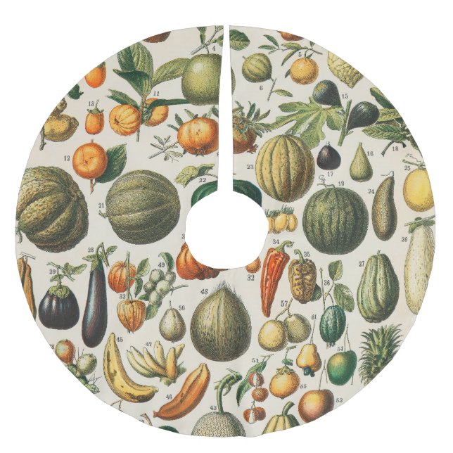 Fruchtpflanzliche wissenschaftliche Illustration Polyester Weihnachtsbaumdecke (Vorderseite)