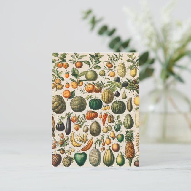 Fruchtpflanzliche wissenschaftliche Illustration Postkarte (Stehend Vorderseite)