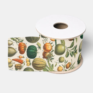 Fruchtpflanzliche wissenschaftliche Illustration Ripsband