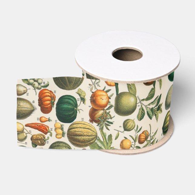 Fruchtpflanzliche wissenschaftliche Illustration Ripsband (Spule)