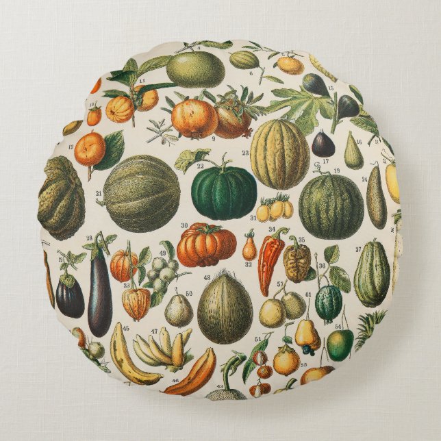 Fruchtpflanzliche wissenschaftliche Illustration Rundes Kissen (Vorderseite)