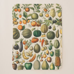 Fruchtpflanzliche wissenschaftliche Illustration Sherpadecke