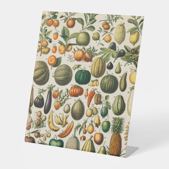 Fruchtpflanzliche wissenschaftliche Illustration Sockelschild (Vorderseite)