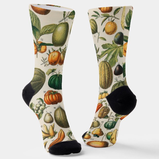 Fruchtpflanzliche wissenschaftliche Illustration Socken (Gewinkelt)