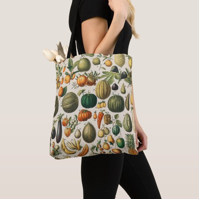 Fruchtpflanzliche wissenschaftliche Illustration Tasche (Von Nahem)