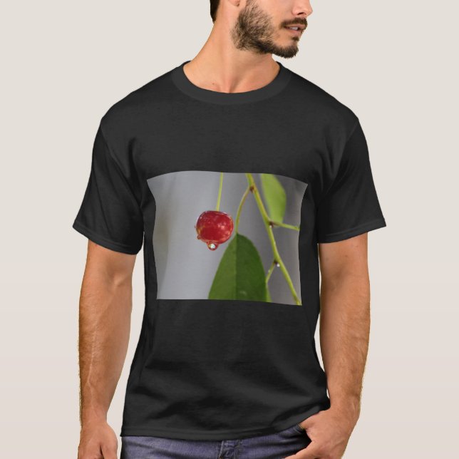 Fruchtsaft Drop Splash Art T-Shirt (Vorderseite)