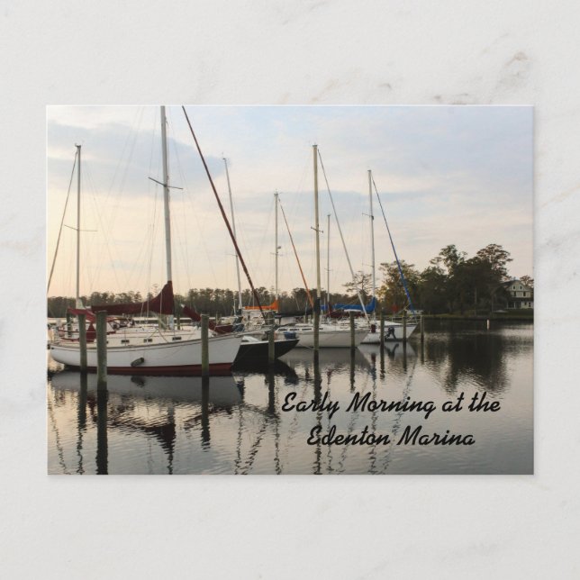 Früh Morgen am Edenton Marina Postkarte (Vorderseite)