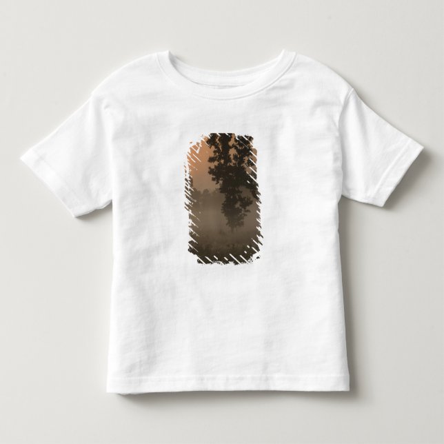 Früh Morgen, aufgehende Sonne und Erdnebel Kleinkind T-shirt (Vorderseite)