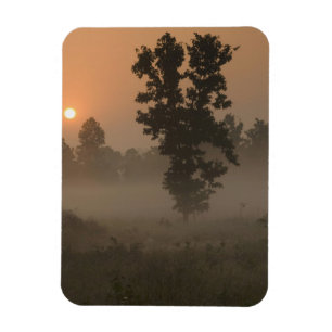 Früh Morgen, aufgehende Sonne und Erdnebel Magnet