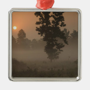 Früh Morgen, aufgehende Sonne und Erdnebel Silbernes Ornament