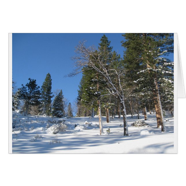 Früh Morgen in den Sierras (Vorderseite (Horizontal))