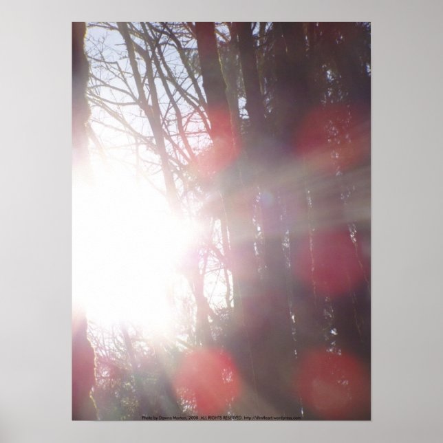 Früh morgens Sonnenstrahlen #28 Poster (Vorne)