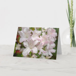 Frühblühende rosa Azaleenblüten Dankeskarte