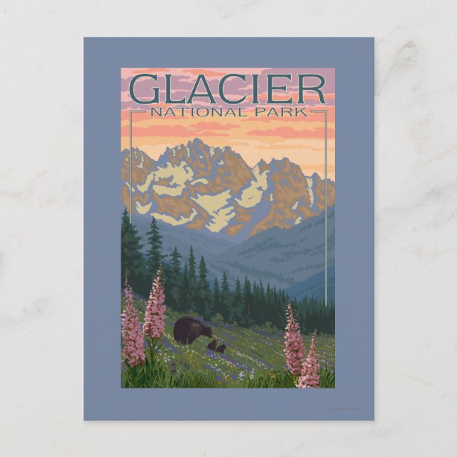 Frühblumen - Glacier National Park, MT Postkarte (Vorderseite)