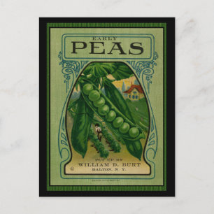 Frühe Erbsen Vintage-Samenpackung Postkarte
