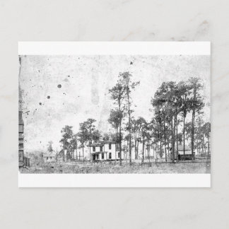 Frühe Jahre, Mount Dora, FL Postkarte