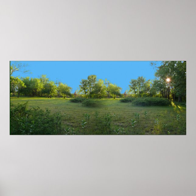 Früher Abend Poster (Vorne)