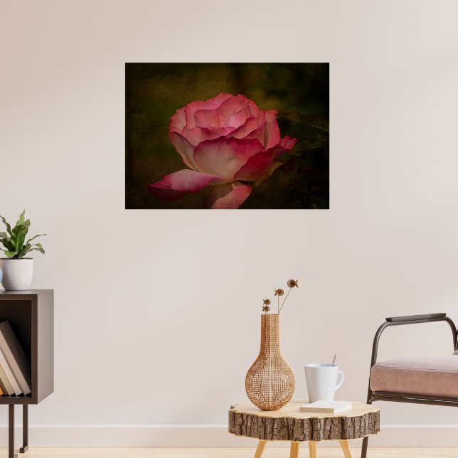 Früher Abendrose Poster (Wohnzimmer 3)