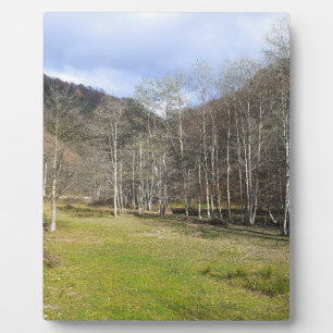 Früher Herbst am Fluss - Wilde Natur Rumänien Fotoplatte