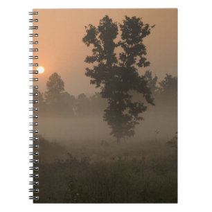 Früher Morgen, aufgehende Sonne und Bodennebel Notizblock