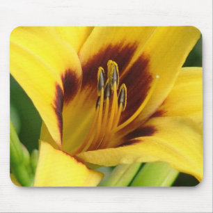 Früher Morgen-Mausunterlage Mousepad