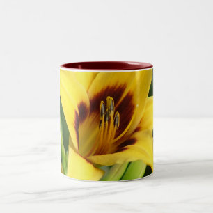 Früher Morgen-von Natur aus Wanze Zweifarbige Tasse