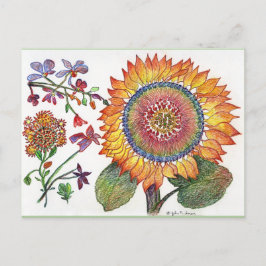 Früher Tag Sonnenblumen zeichnend Postkarte