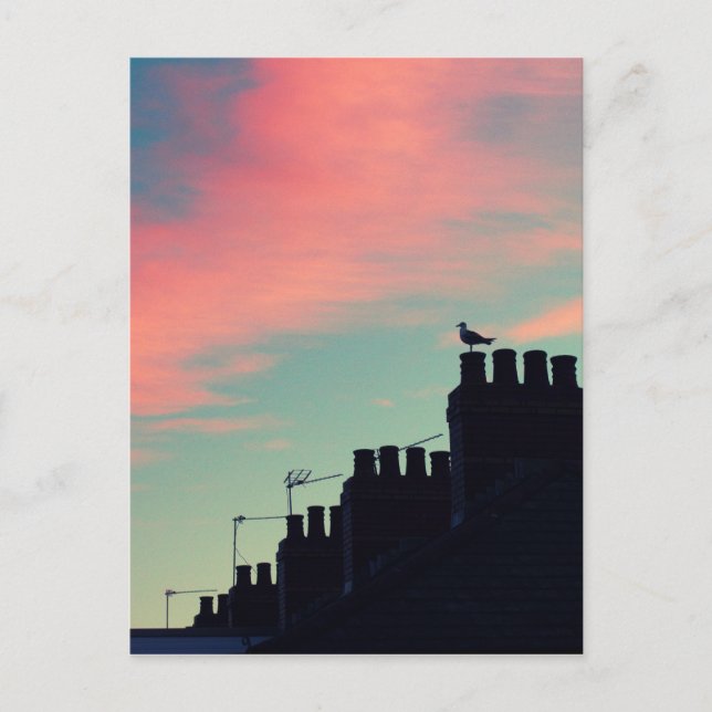 Frühgeburten Postkarte (Vorderseite)