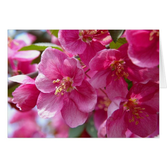 Frühjahr (Vorderseite (Horizontal))