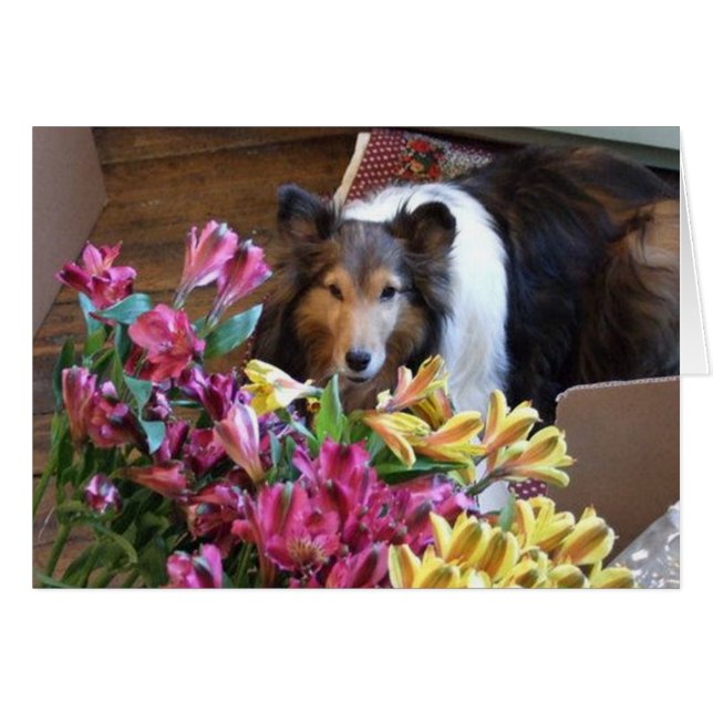 Frühjahr (Vorderseite (Horizontal))