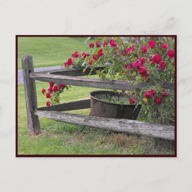 ~ Frühjahr 41 ~ Postkarte (Vorderseite)