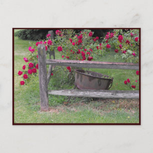 ~ Frühjahr 42 ~ Postkarte