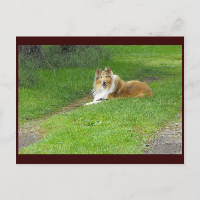 ~ Frühjahr 46 ~ Postkarte (Vorderseite)