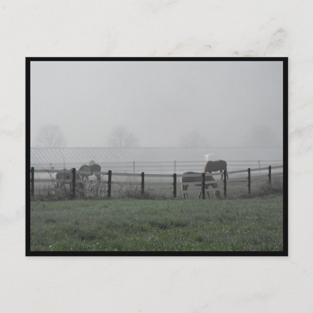 ~ Frühjahr 79 ~ Postkarte (Vorderseite)