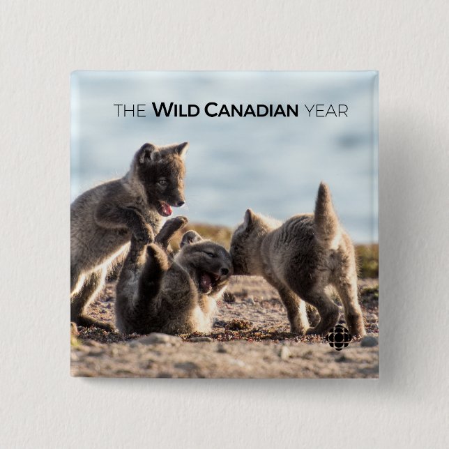 Frühjahr - Arctic Fox Button (Vorderseite)