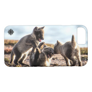 Frühjahr - Arctic Fox Case-Mate iPhone Hülle