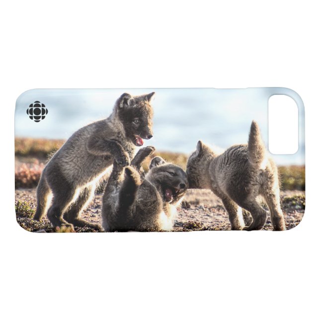 Frühjahr - Arctic Fox Case-Mate iPhone Hülle (Rückseite (Horizontal))