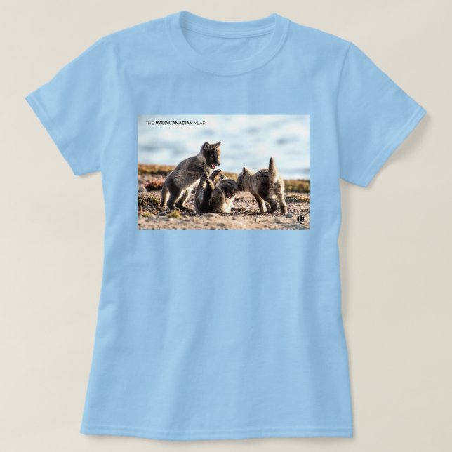 Frühjahr - Arktische Fox-Frauen T-Shirt (Design vorne)