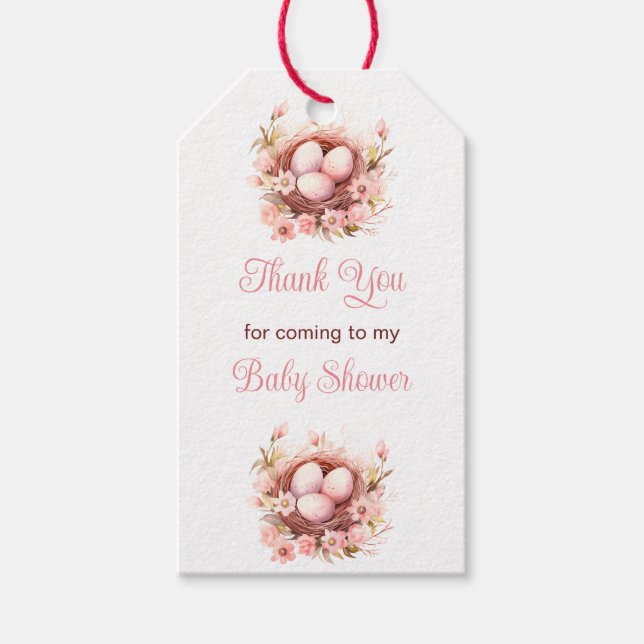 Frühjahr Birds Nest Baby Dusche Geschenkanhänger (Vorderseite)