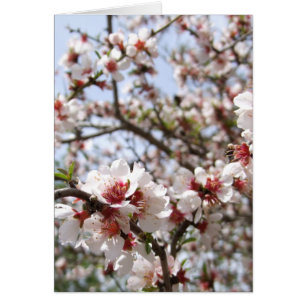 Frühjahr-Blume-Blossom-Karte