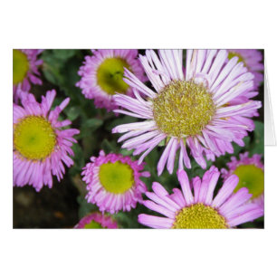 "Frühjahr chez moi "