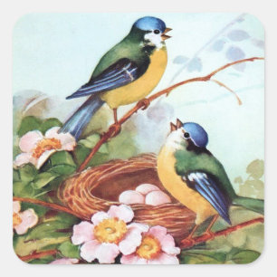 Frühjahr-Drossel-Nest-Aufkleber Quadratischer Aufkleber