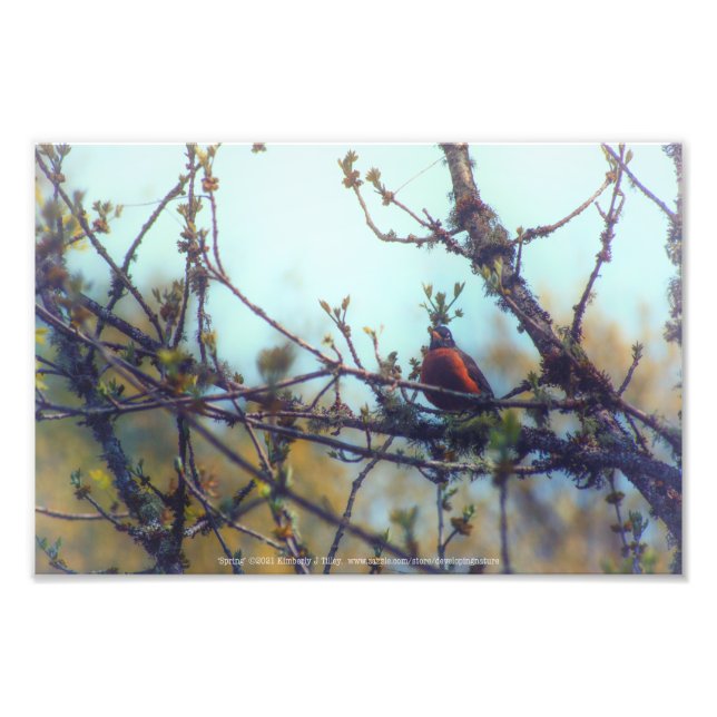 Frühjahr Fotodruck (Vorne)