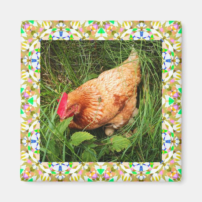 Frühjahr grün und Osterrosa blauer Rahmen Magnet (Vorne)
