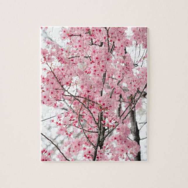 Frühjahr Hanami Festival, Kirschblüten (Vertikal)