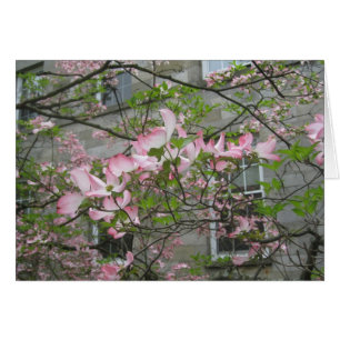 Frühjahr in der Swarthmore-Uni